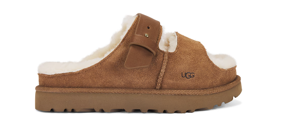 Screenshot 2025 02 01 at 3 15 33 PM